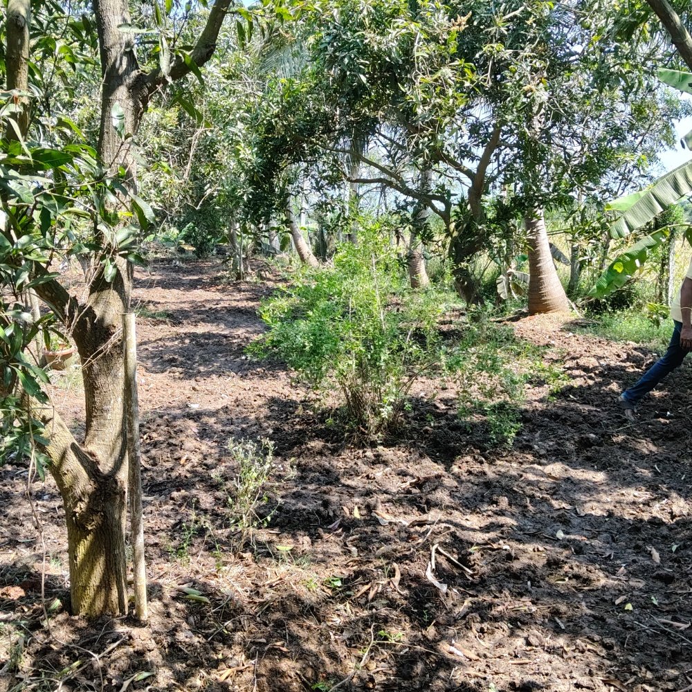 ECR FARM LAND SALE property in Ecr anaikkattu