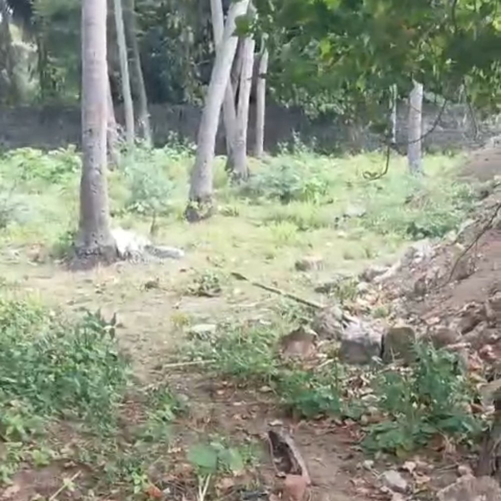 ON ROAD ECR PROPERTY SALE property in Ecr Mugaiyur 