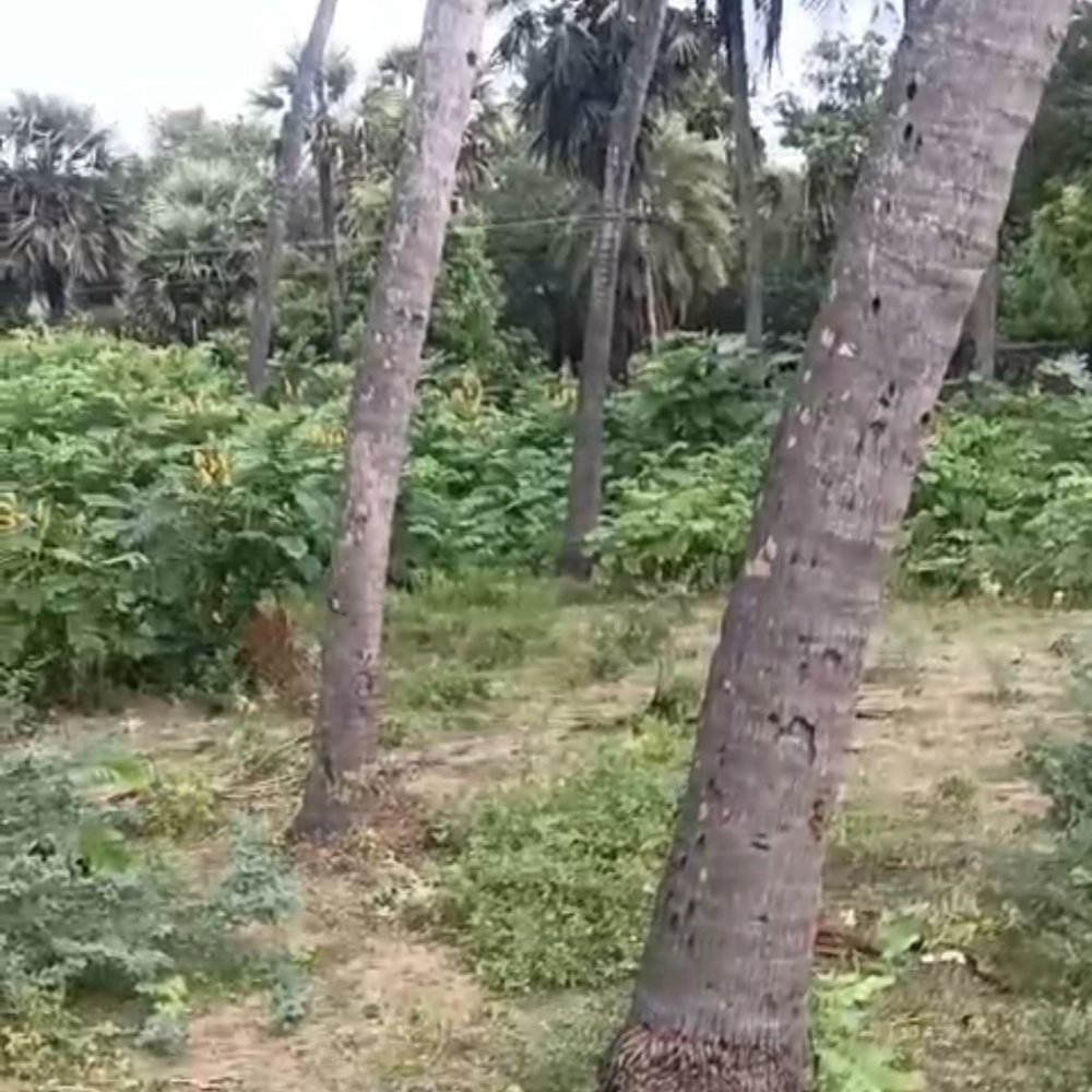 ON ROAD ECR PROPERTY SALE property in Ecr Mugaiyur 