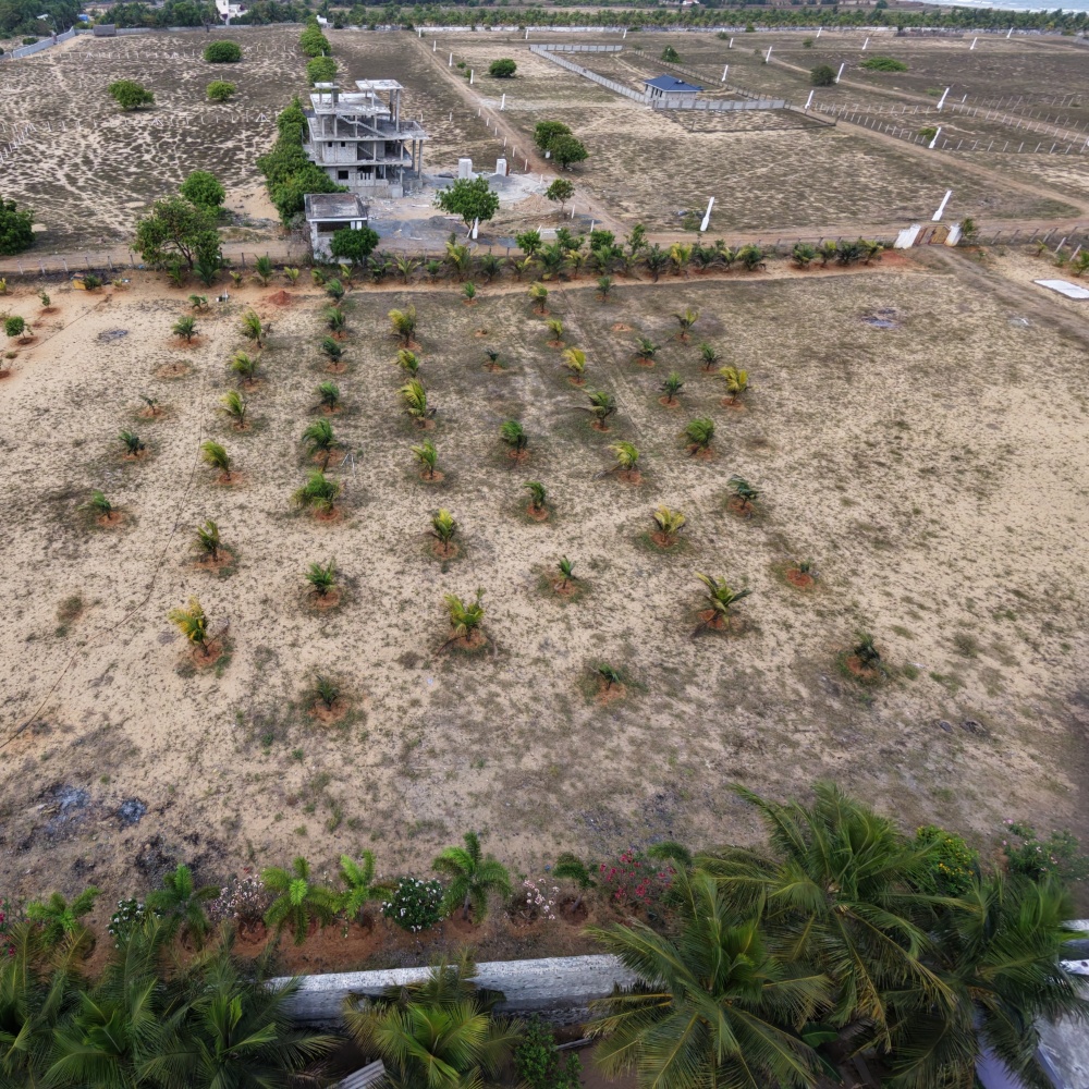 Beach Side Property At Paramankeni Near Mudhaliyar Kuppam Boat House. - Farmland in Paramankeni, ECR, Chennai 3.25 Acres for sale - listing image
