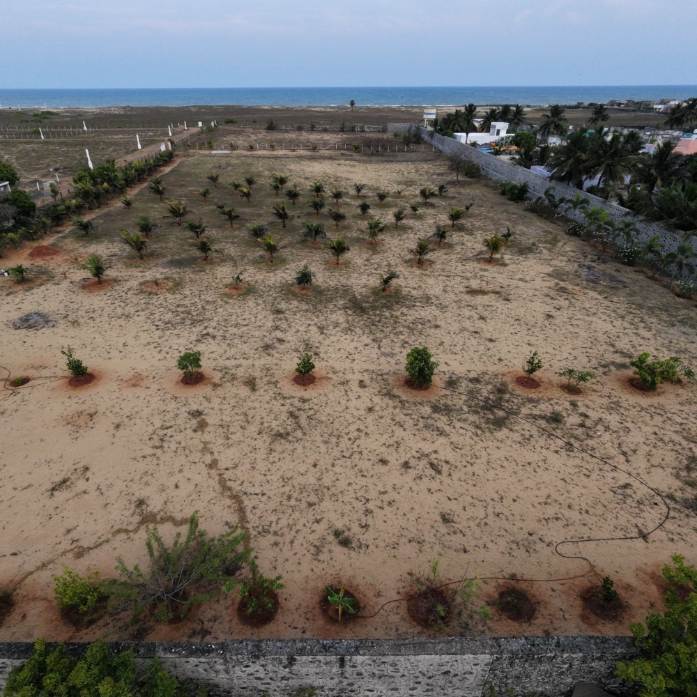 Beach Side Property At Paramankeni Near Mudhaliyar Kuppam Boat House. - Farmland in Paramankeni, ECR, Chennai 3.25 Acres for sale - listing image