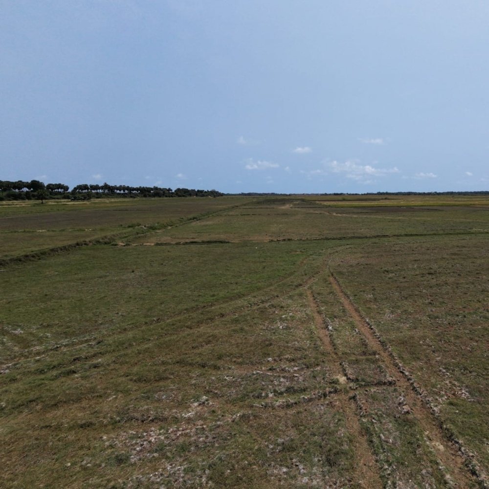 Buy 1 Get 1 Free Farm Land For Sales 25+25Cents property in Paramankeni