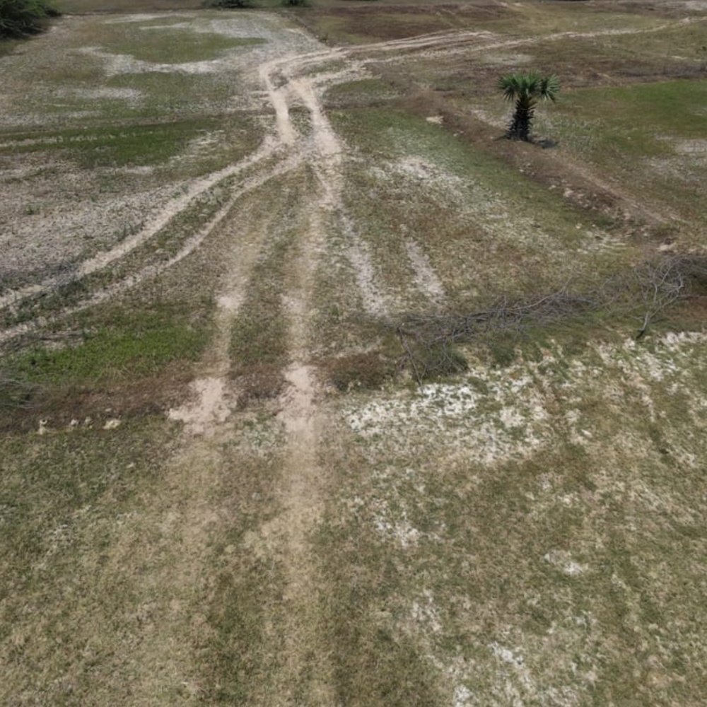 Buy 1 Get 1 Free Farm Land For Sales 25+25Cents property in Paramankeni